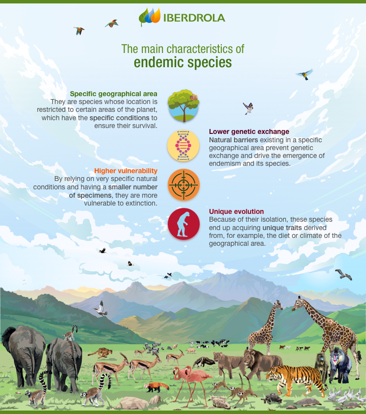 endemic-species-what-they-are-and-how-to-conserve-them-iberdrola