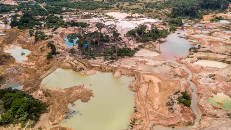 Deforestation in the  peaked decades ago. Can we get it to zero?