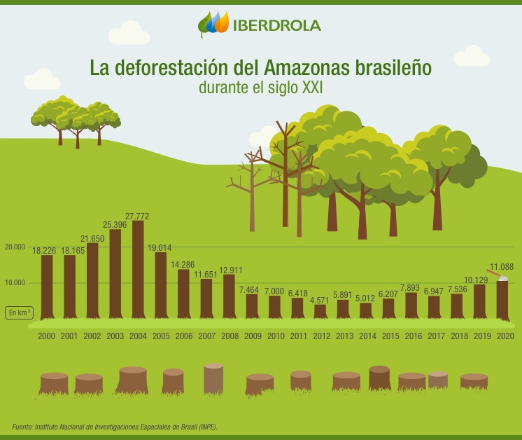 O Desmatamento Na Amazônia E Seu Impacto Na Biodiversidade - Iberdrola