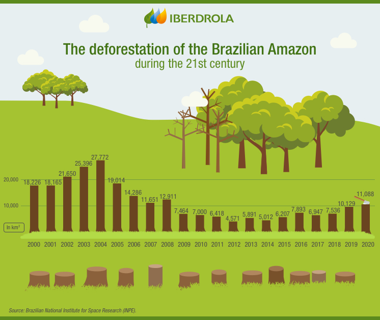 Deforestation in the Amazon and its impact on biodiversity Iberdrola