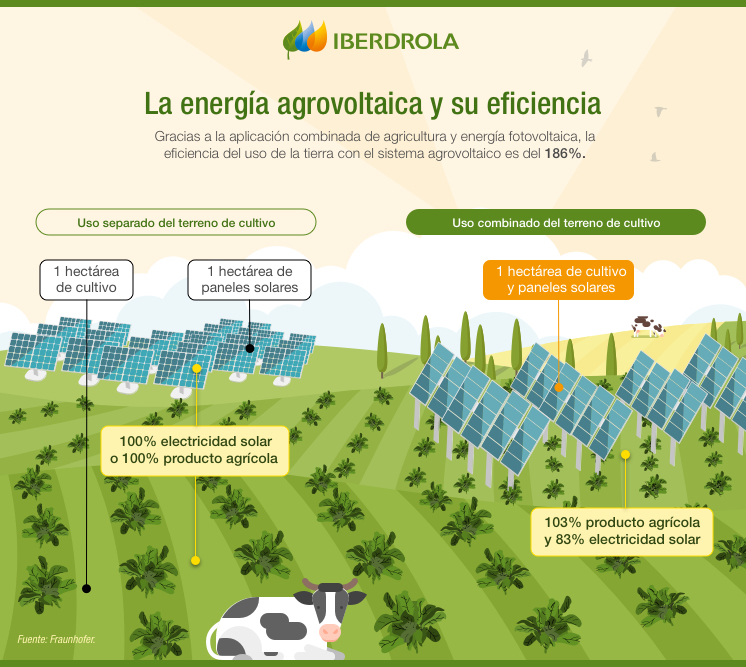 Agrovoltaica | Energía Solar Y Agricultura - Iberdrola