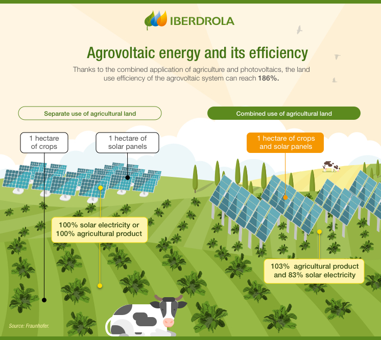 Agrovoltaics | Solar Energy And Agriculture - Iberdrola