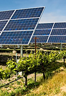 Parque fotovoltaico