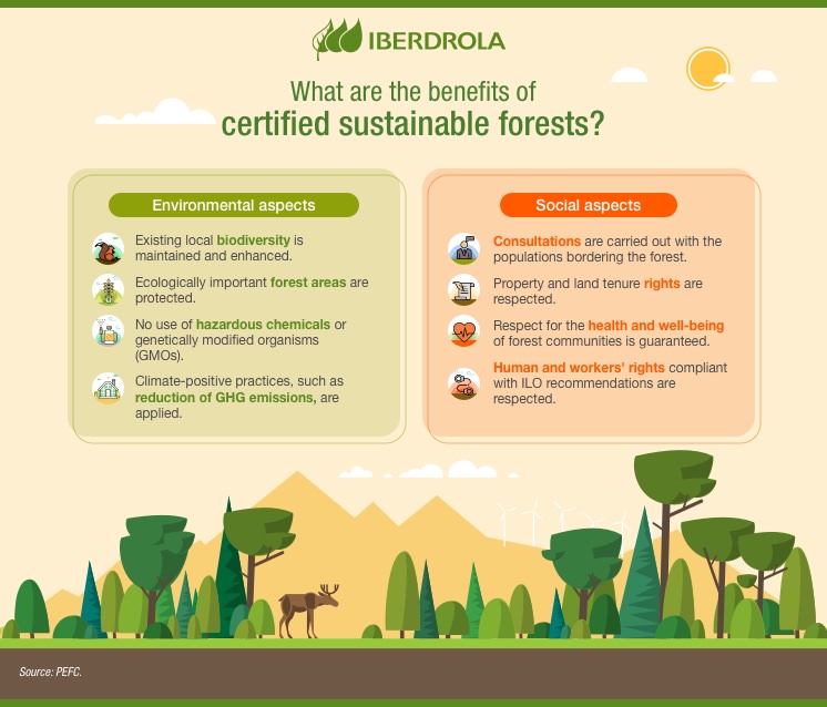 Deforestation in the  and its impact on biodiversity - Iberdrola