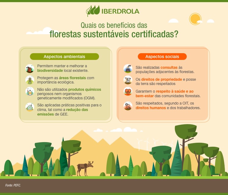 Treinamento de alto nível - Blog - Kolecti Recursos Florestais