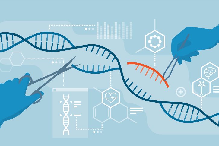 human genetic engineering diagram