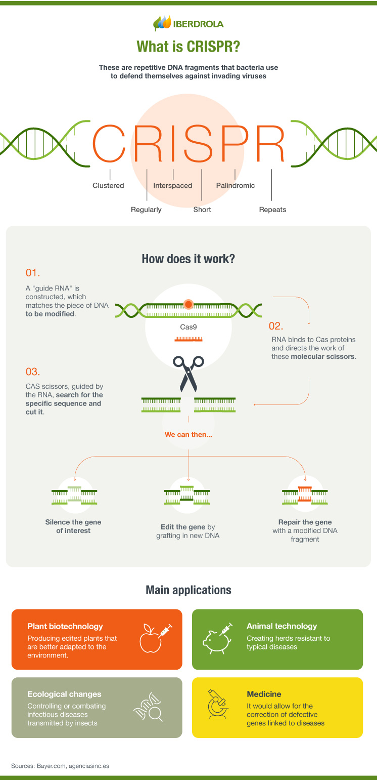 Genetic Modification: CRISPR - Iberdrola