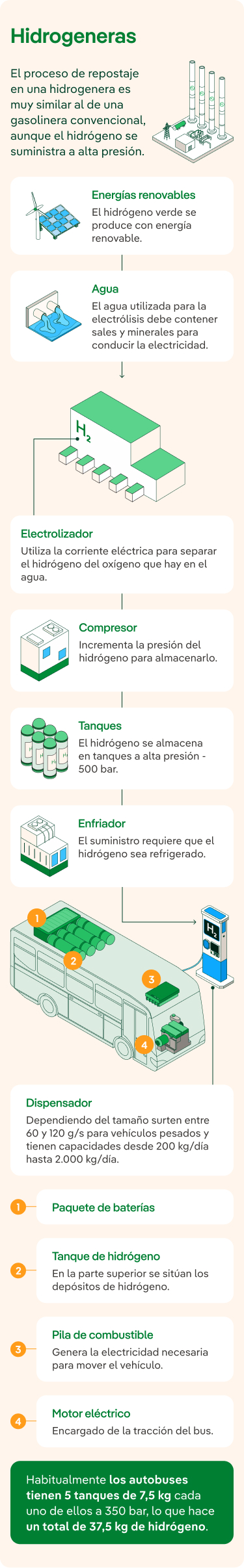 Hidrogeneras