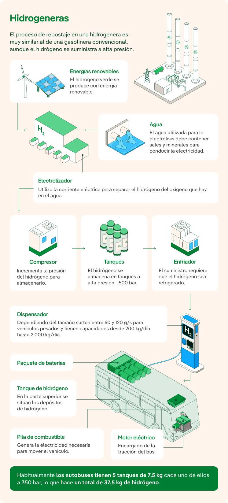 Hidrogeneras