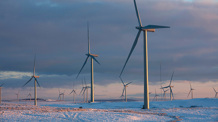 Parque eólico terrestre Whitelee