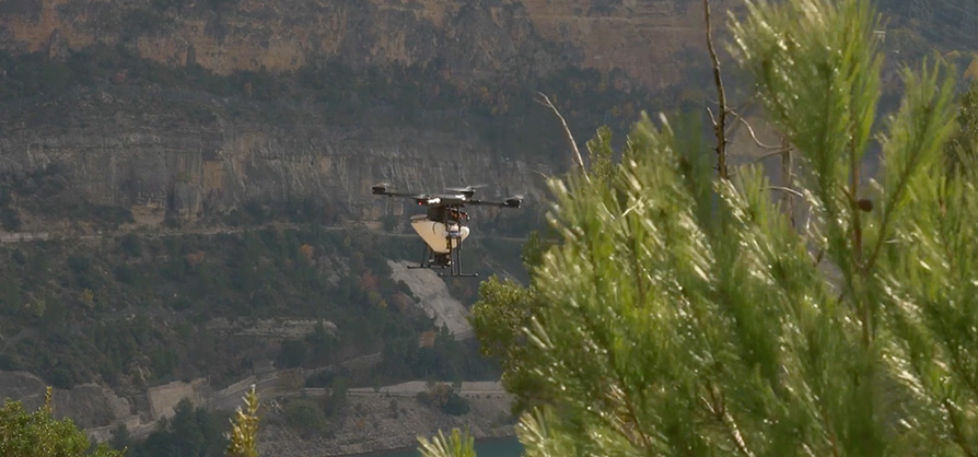 Reforestación con drones