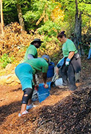 Voluntarios