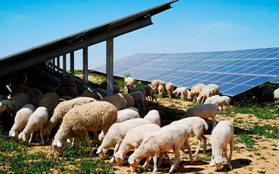 Spain's first hybrid hydroelectric and solar plant