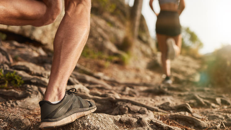 Running shoes for hot sale dirt roads