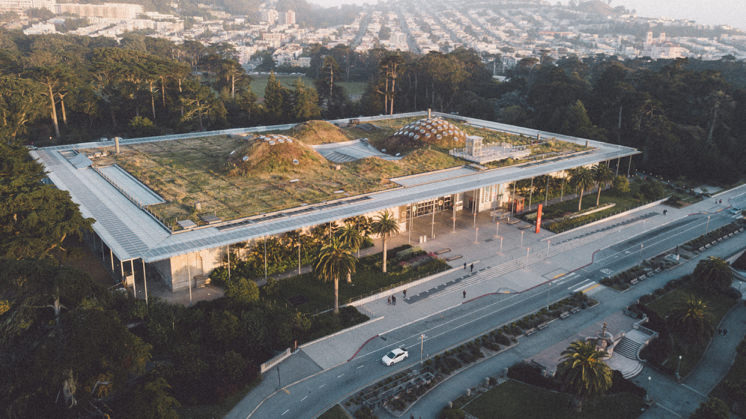 California Academy of Sciences (USA).