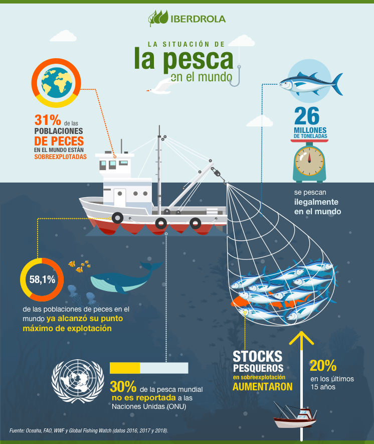 La Pesca de Arrastre ¿y la Protección Medio Ambiental de nuestros mares?