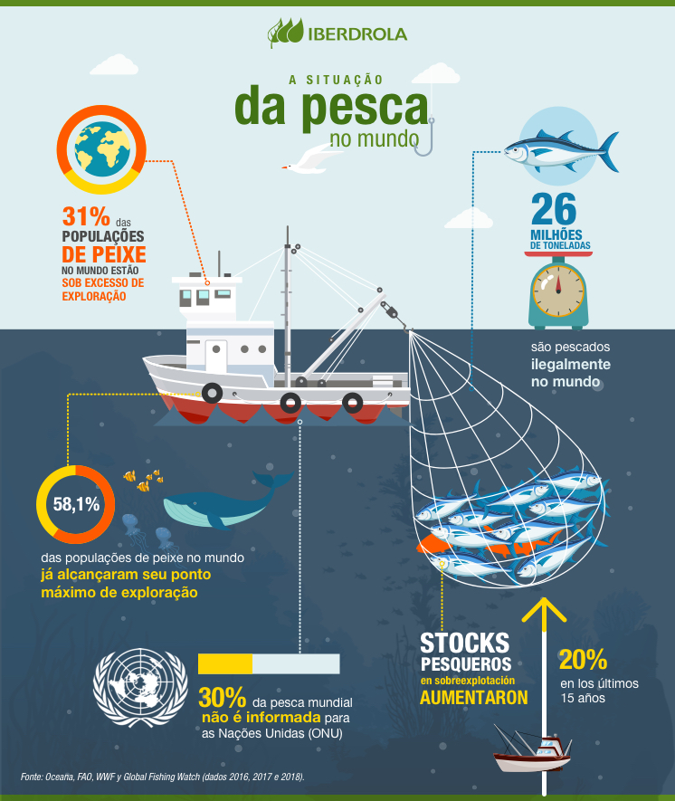 Atividades De Pesca De Inverno. Concentração Nas Redes De Pesca