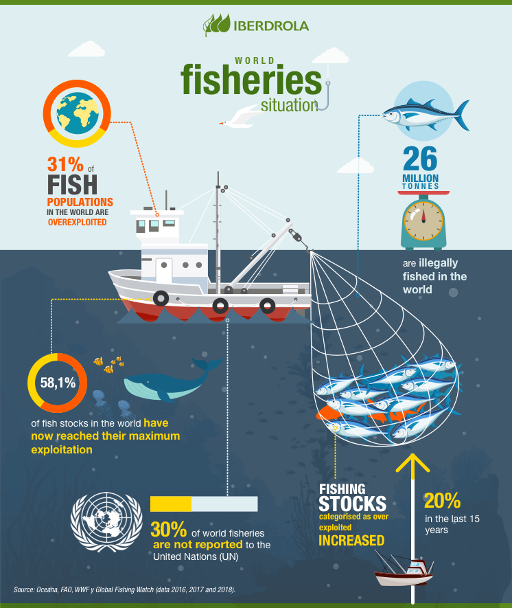 Sustainable Fish Farm