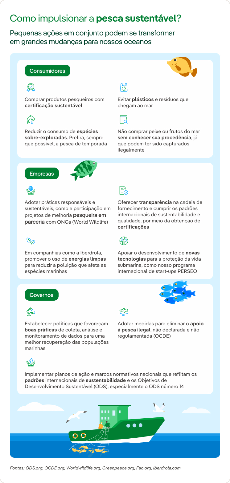 infografia pesca