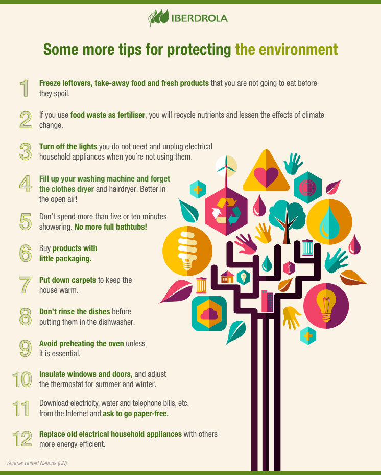 Infographic Sustainable Habits