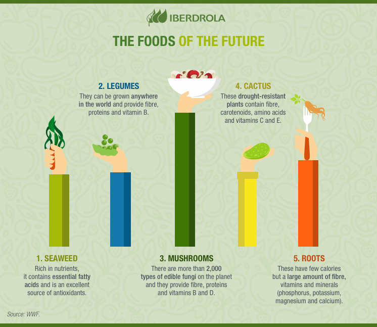 The 5 Fields of Food Science to Know as A Food Business