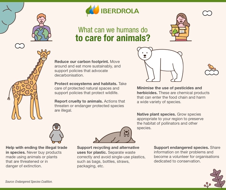 Deforestation in the  and its impact on biodiversity - Iberdrola