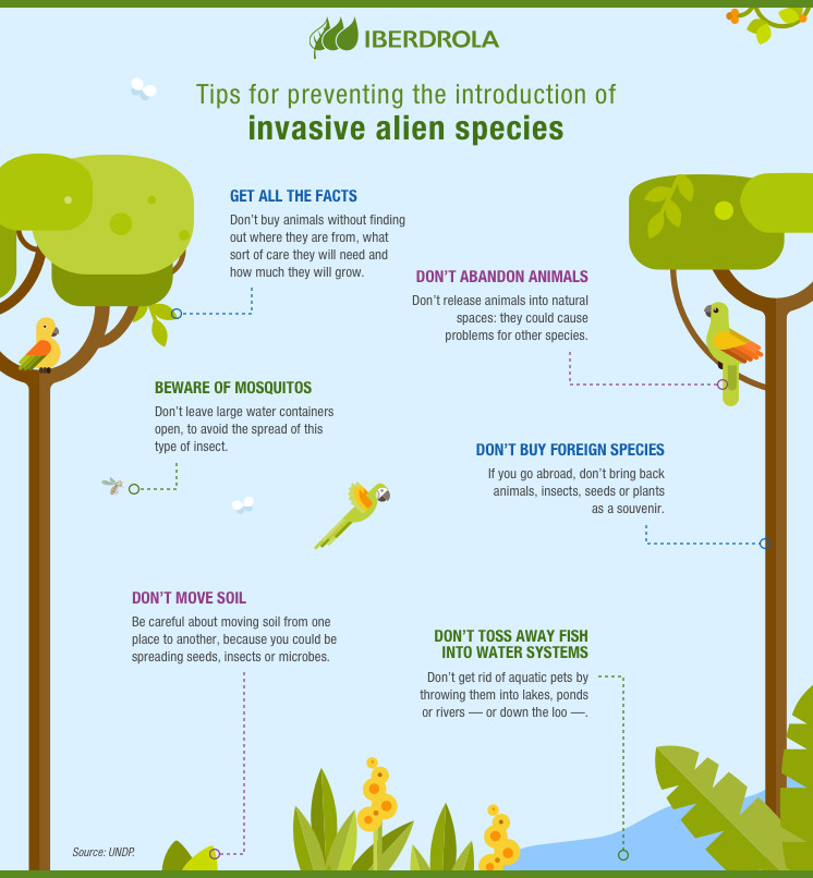 Select The Example Of An Invasive Species