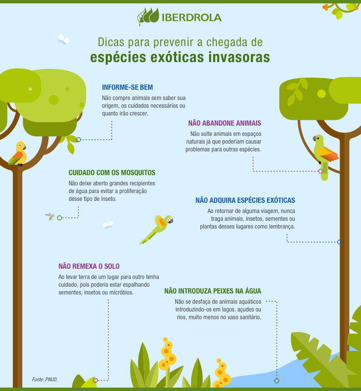 Espécies exóticas invasoras