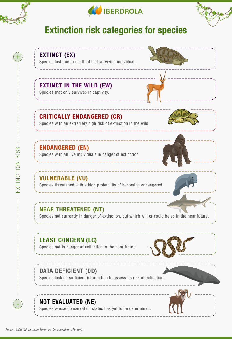 threatened animals list