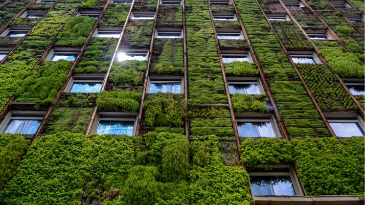 What is a Green Building + 10 Sustainable Buildings - Iberdrola