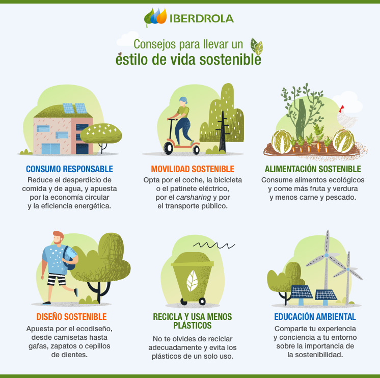 ¿Qué Es Y Cómo Llevar Un Estilo De Vida Sostenible? - Iberdrola