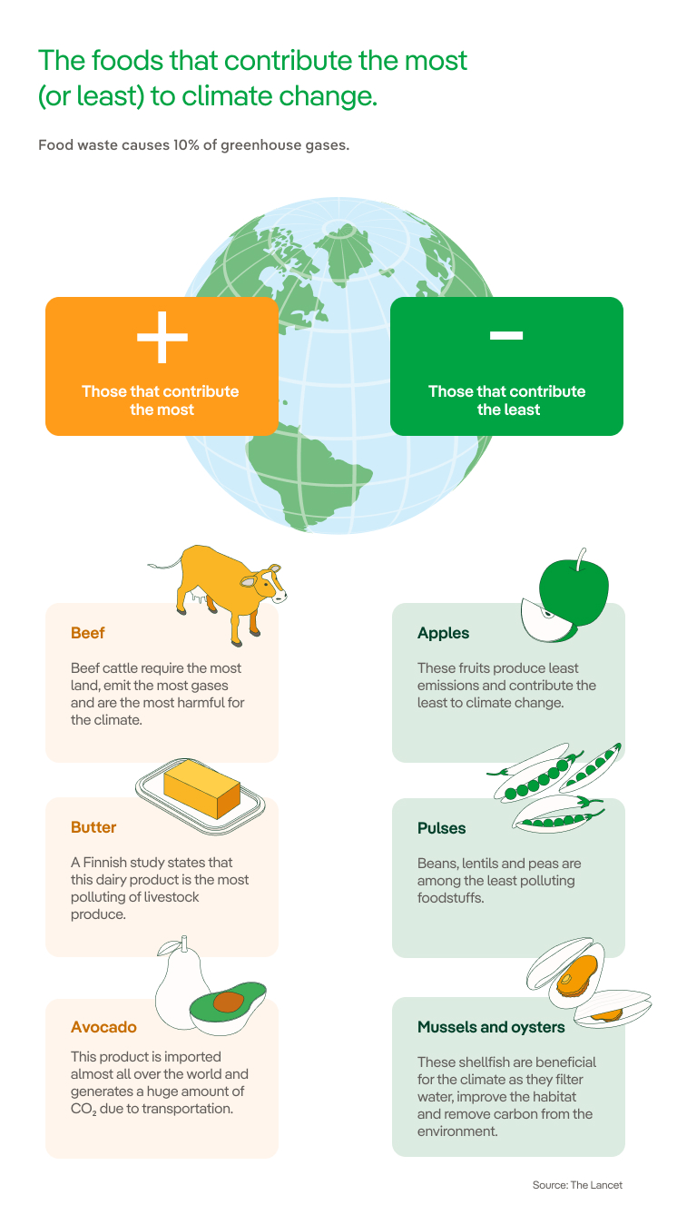 Food Waste And Climate Change - Iberdrola