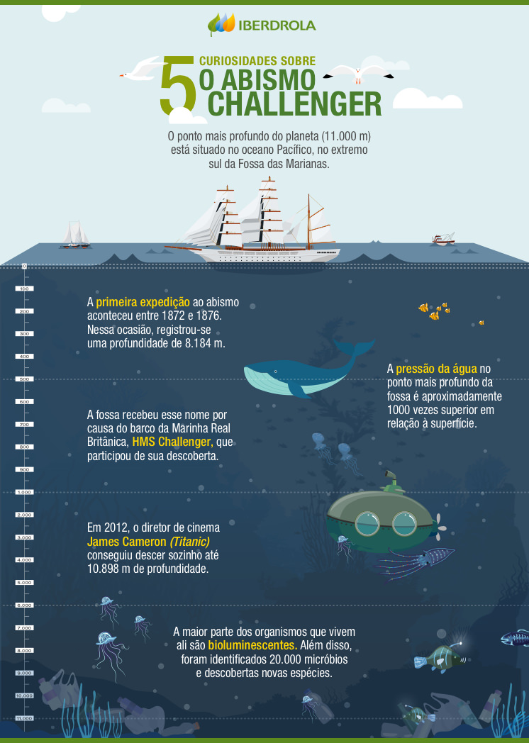 Plástico no Oceano: como eles vão parar lá e quais os impactos