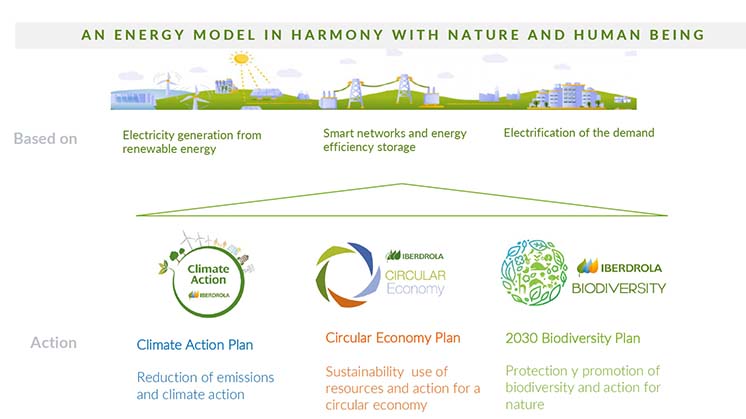 Deforestation in the  and its impact on biodiversity - Iberdrola