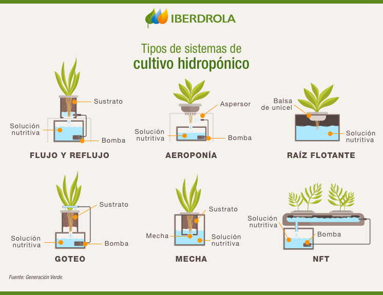 Tema 5: Elaboración De Un Cultivo Hidropónico