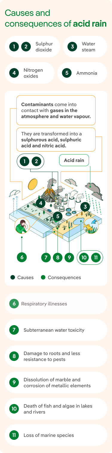 Causes and consequences of acid rain