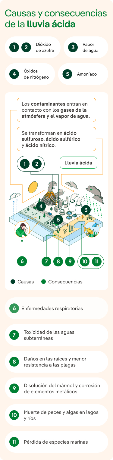 Causas y consecuencias de la lluvia ácida