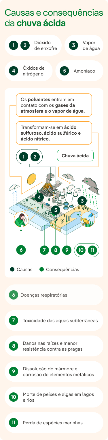 Causas e consequências da chuva ácida