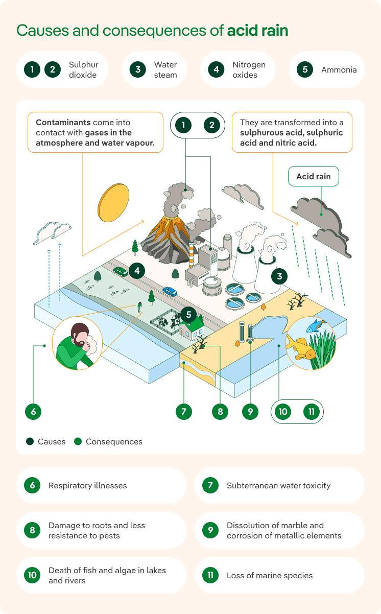 Causes and consequences of acid rain