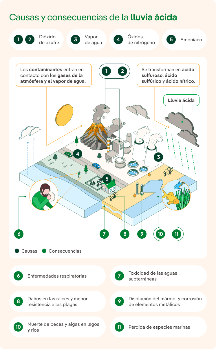 Causas y consecuencias de la lluvia ácida