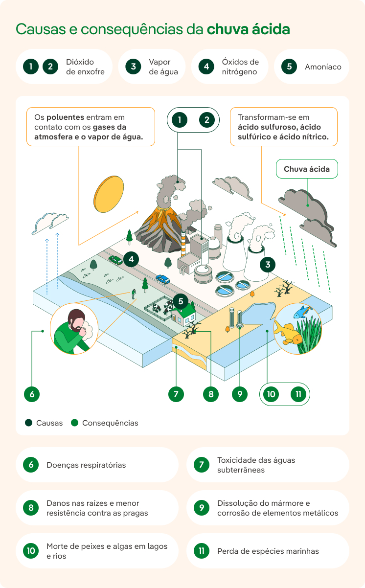 Causas e consequências da chuva ácida