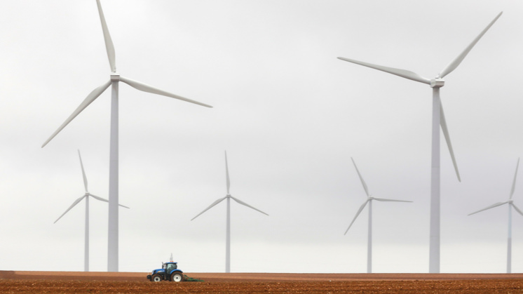 Combinación de plantas fotovoltaicas con actividades agrícolas.