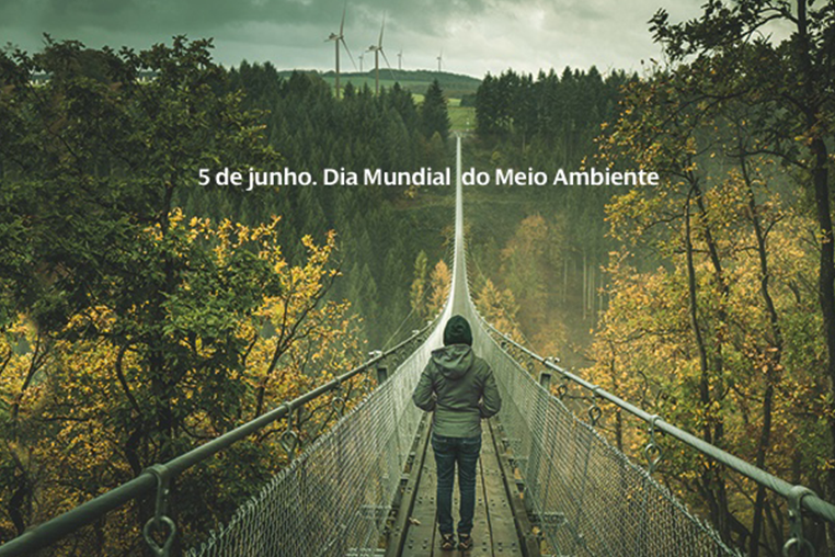 Dia Mundial Medio Ambiente