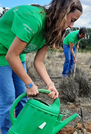 Voluntarios