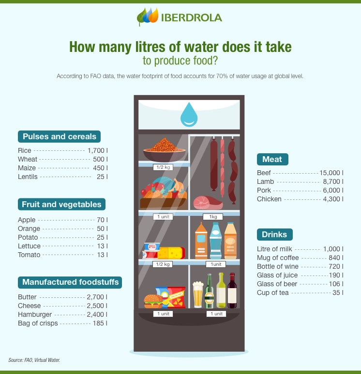 Calculating Your Eco Footprint - Aqua Vida