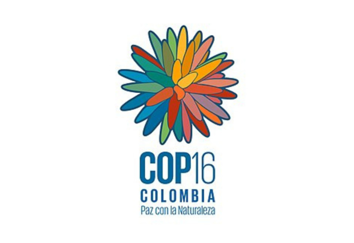 cop16