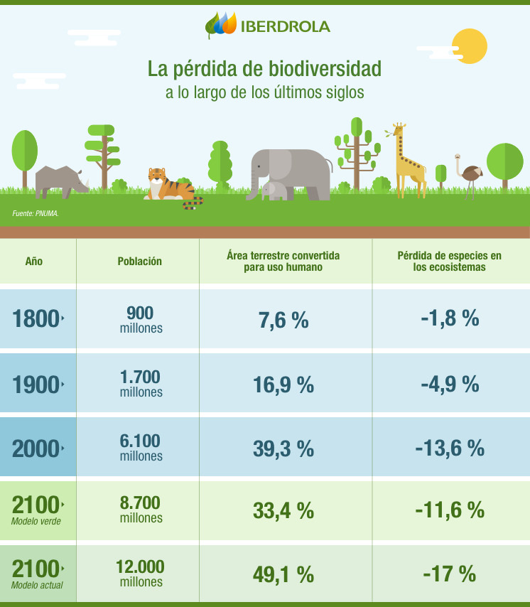 ¿por Qué Se Pierde La Biodiversidad Y Cómo Solucionarlo Iberdrola 