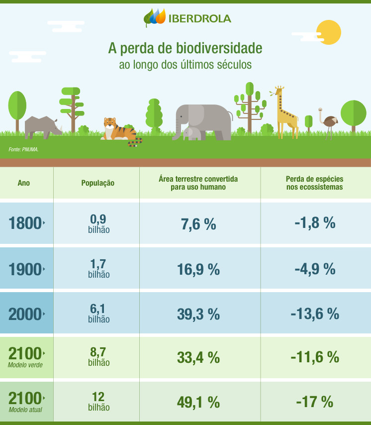 Por que se perde a Biodiversidade e como resolver? - Iberdrola