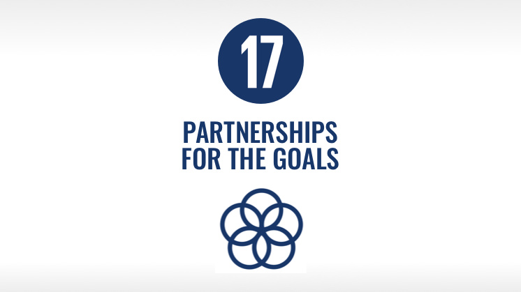 SDG 17: Partnerships For The Goals - Iberdrola