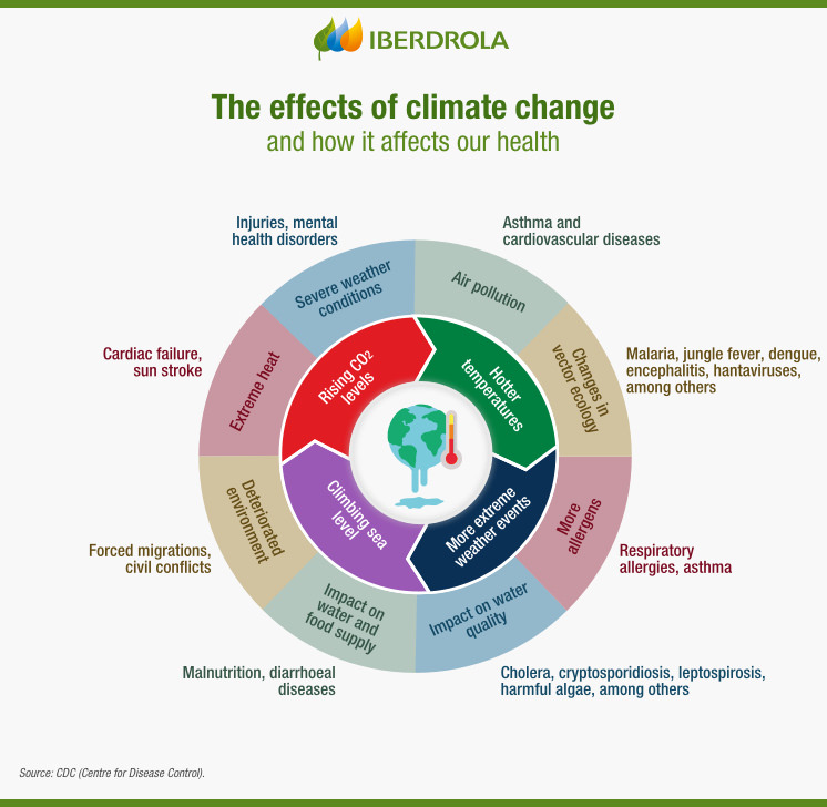 Climate Change And Health | Effects Of Covid-19 On Biodiversity - Iberdrola